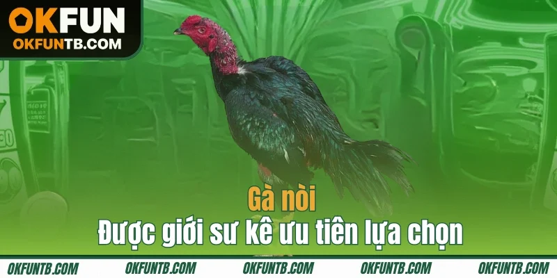 Gà nòi được luôn nằm trong top được ưu tiên lựa chọn 